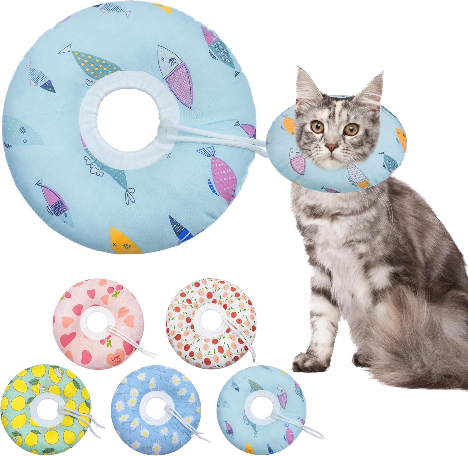 Cat Cone Collar: Soft Recovery Cone vs. Traditional Design