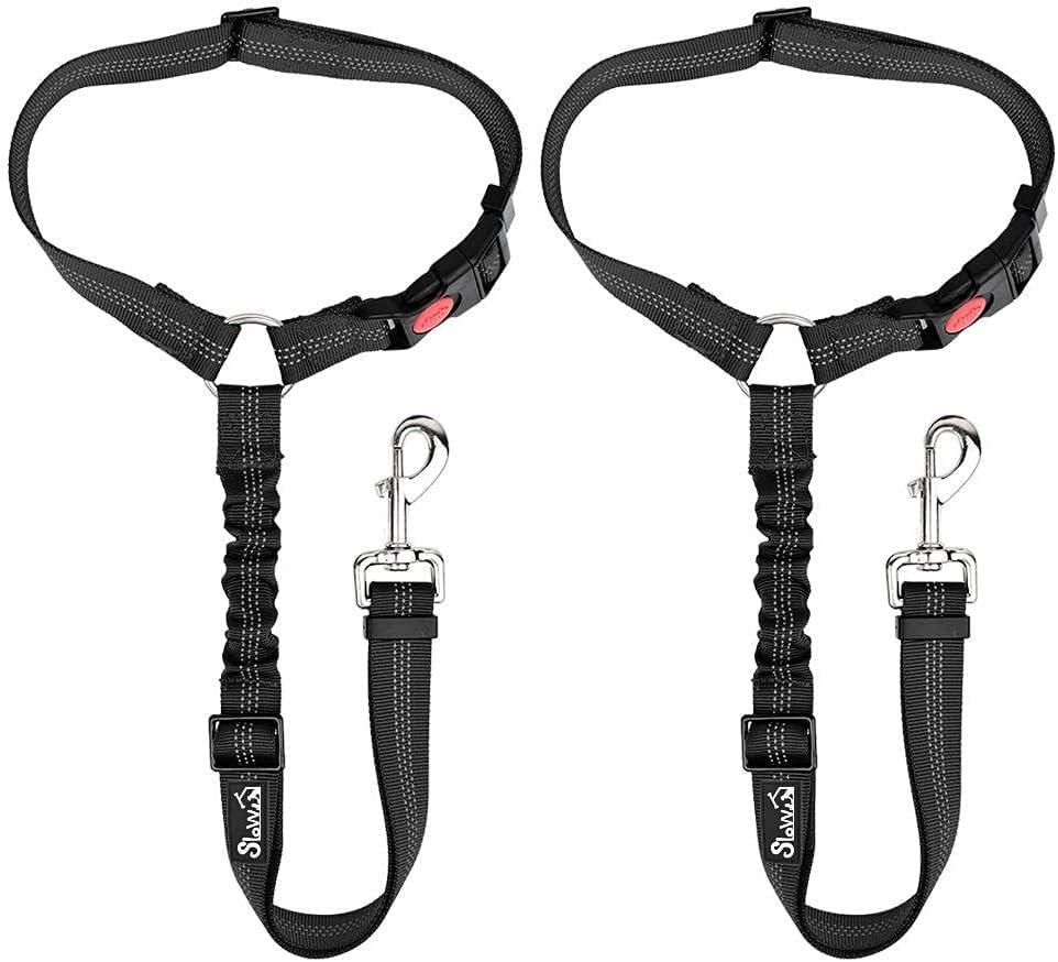 %surprising% Insight: Bungee Leash Showdown! Versus Heavy-Duty Classics