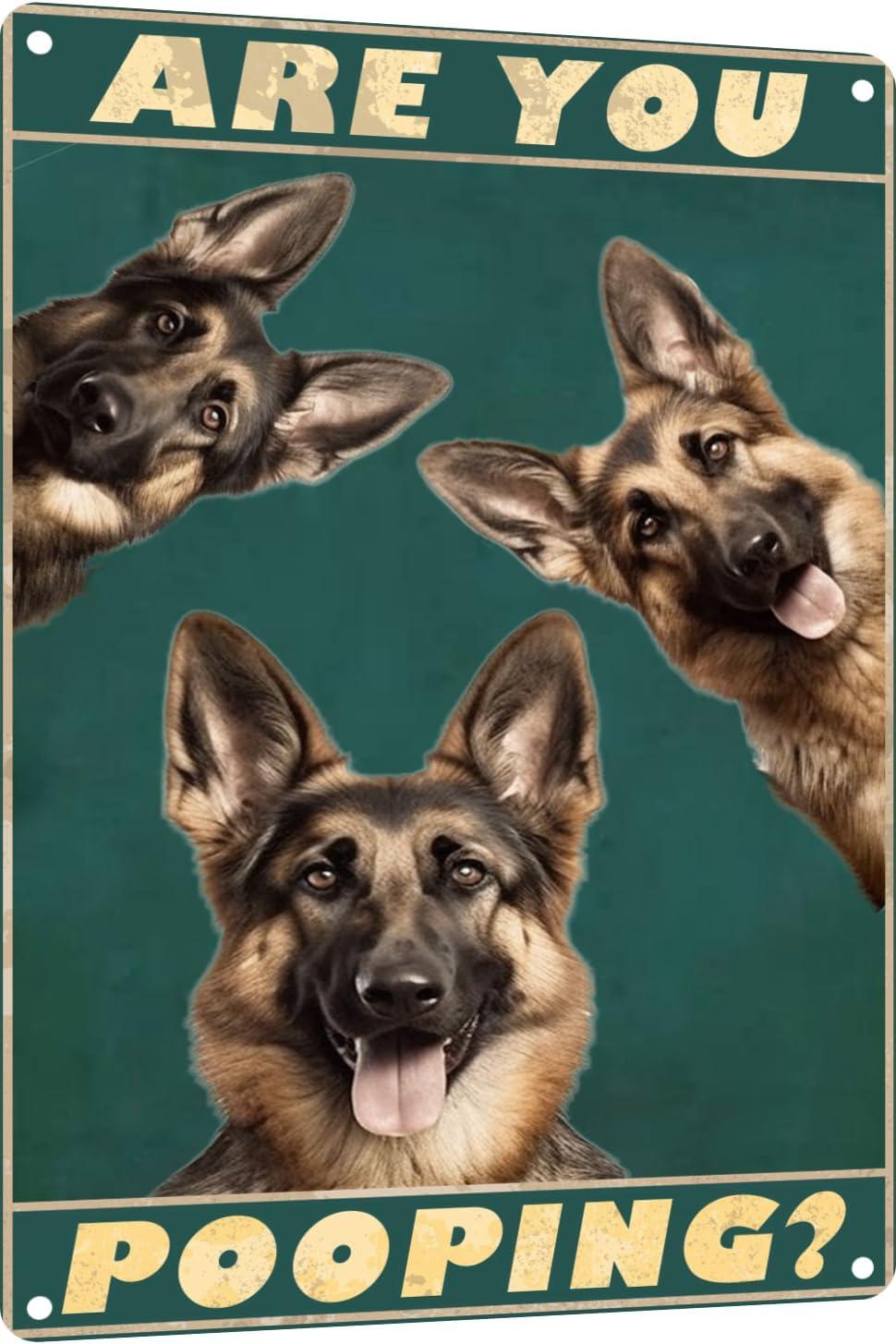 Funny Retro Metal Sign Compared: Shep vs. Vintage Bar Décor...Surprising Insight!