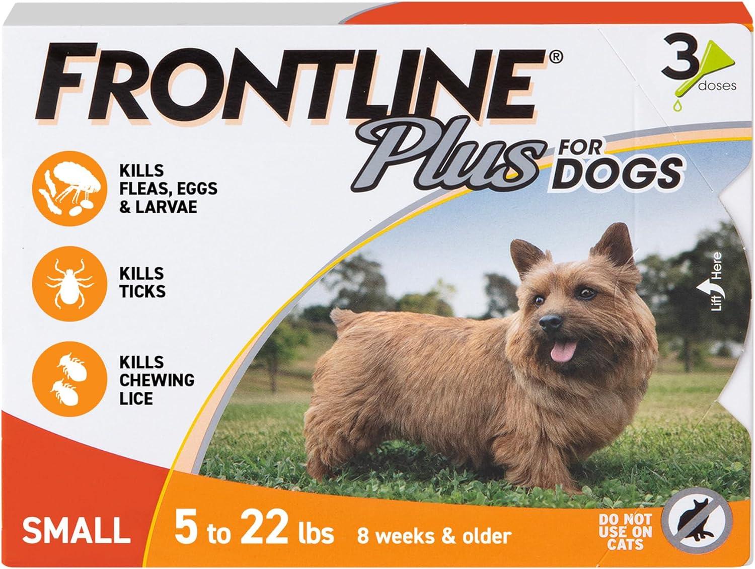 Flea Prevention Showdown: Tested Choices for Pets