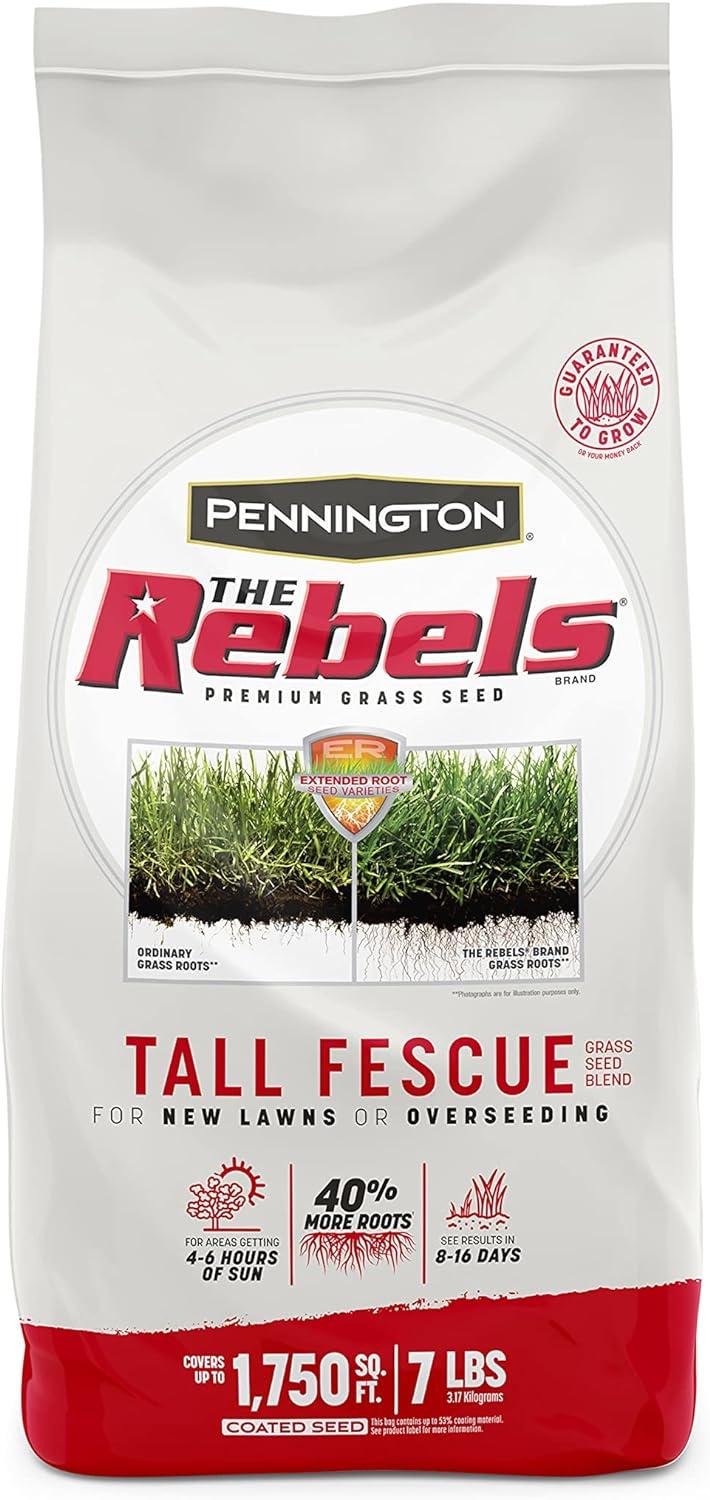 Pennington Rebels Versus Fescue: Tested, Dense, and Thriving... Compare Now!