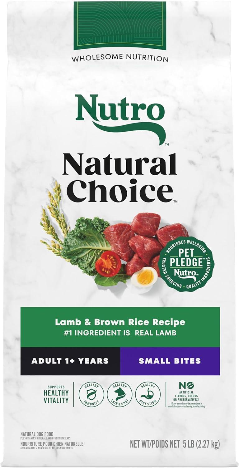 Nutro Lamb Rice vs. Tiny Kibble: Surprising Small Bite Insights...Dog Food Trend Test!