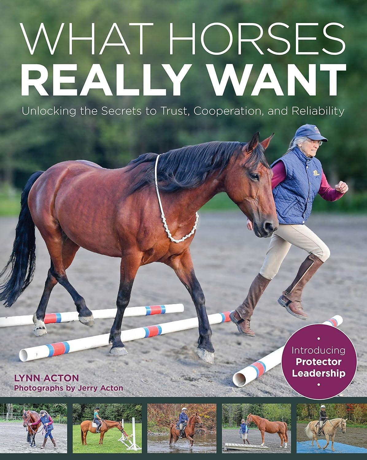 Uncovering Horse Needs: Tested Trust, Cooperative Secrets... Surprising Insights!